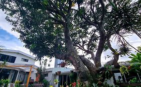 Casa Jardin del Mango